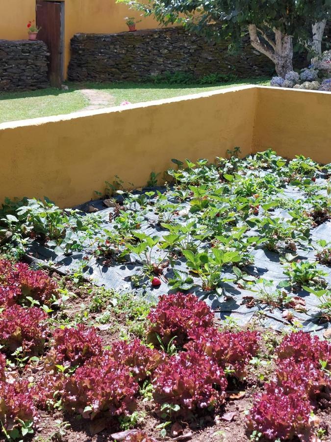 Casas De Maragouzos Vila Silleda Exterior foto